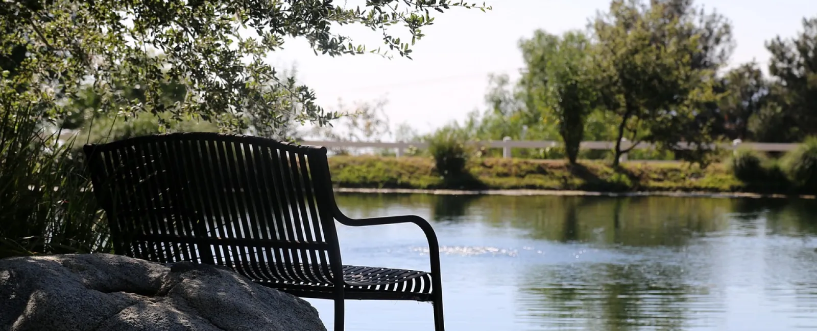 a bench sits by a lake