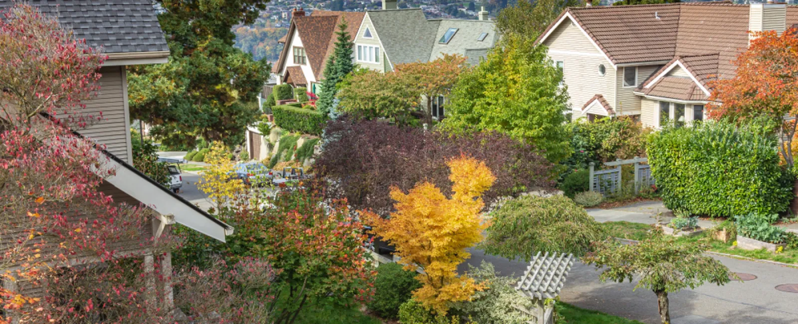Seasons Change—So Should Your Pest Control: Why Quarterly Treatments Matter