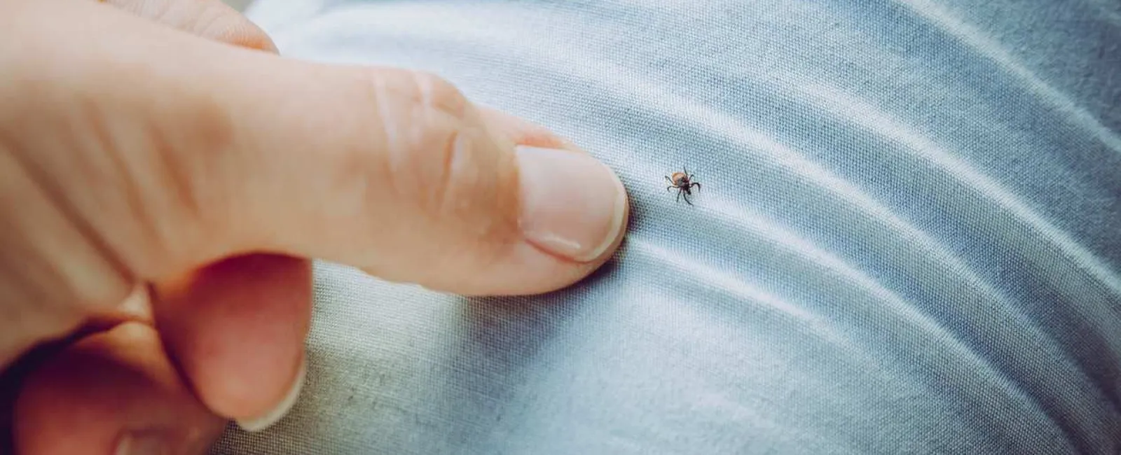 a person holding a bug