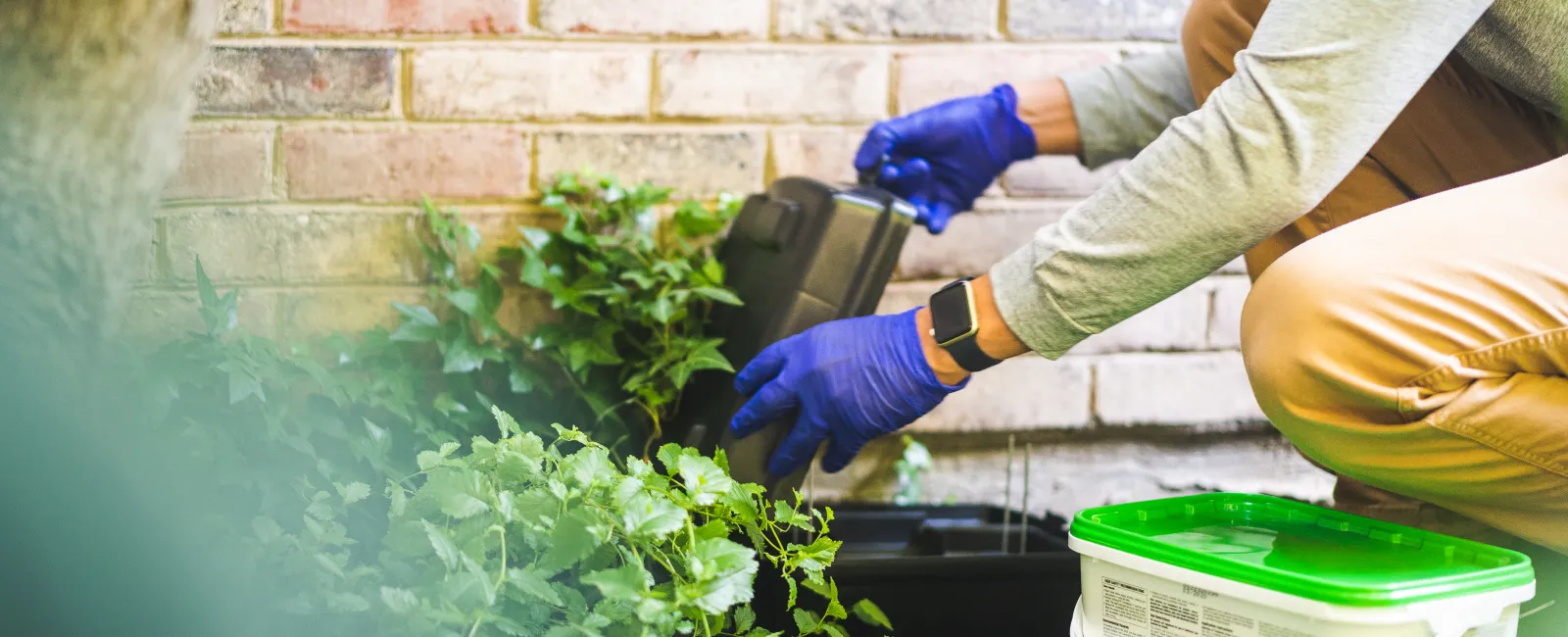 Person wearing gloves planting a black container near green plants against a brick wall in a garden.