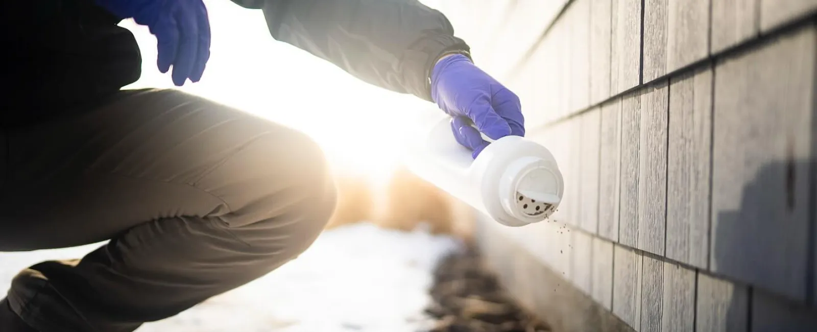 a person wearing gloves and holding a white cup