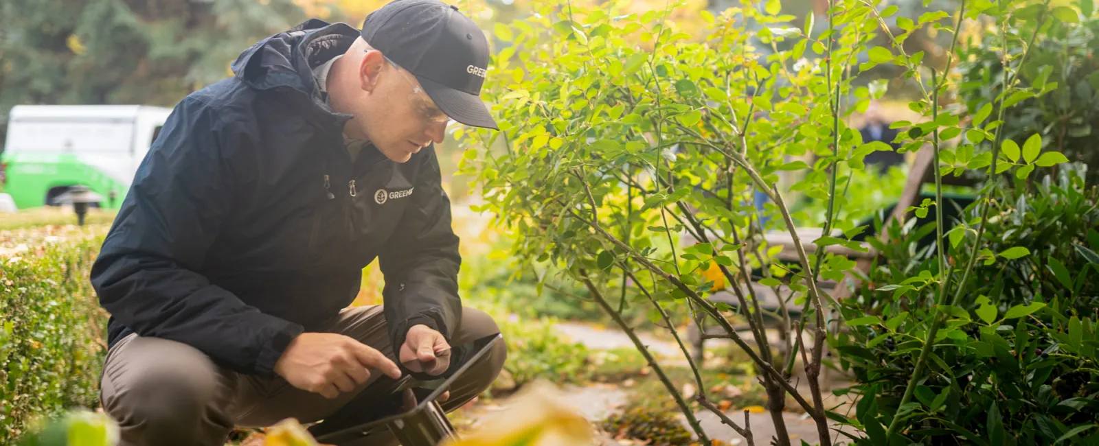 Gardener in black jacket kneeling and inspecting plants in a lush garden on a sunny day.