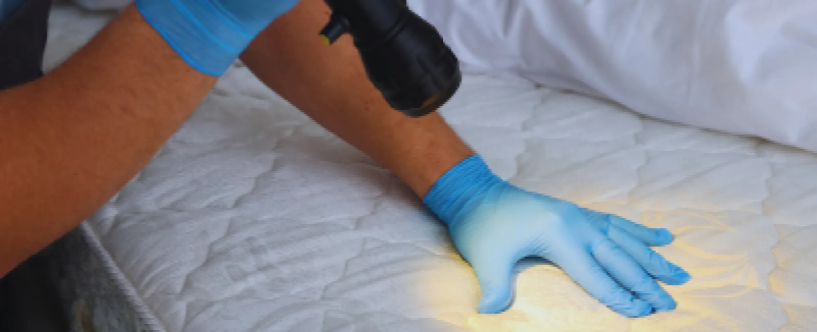 Person wearing blue gloves inspecting mattress surface with flashlight for bed bugs or stains.