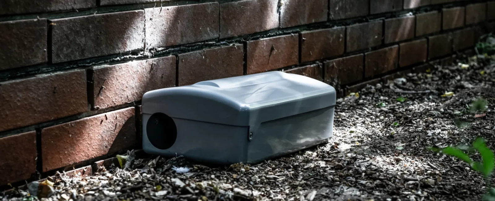 Gray rodent bait station placed on mulch next to a brick wall in shaded outdoor area