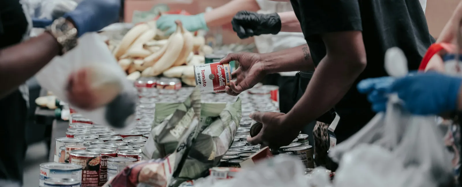 Volunteers wearing gloves sorting canned goods and bananas on a table during a food drive event.
