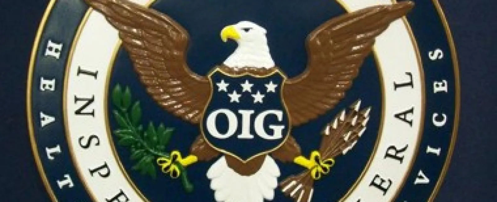 December was a relatively quiet month for the OIG Work Plan