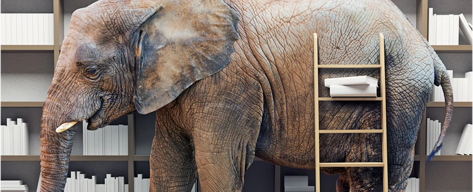 HIPAA compliance is the elephant in the room for the healthcare industry