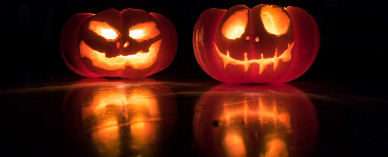 Avoid Being Frightened This Halloween, Complete Your SRA Instead!
