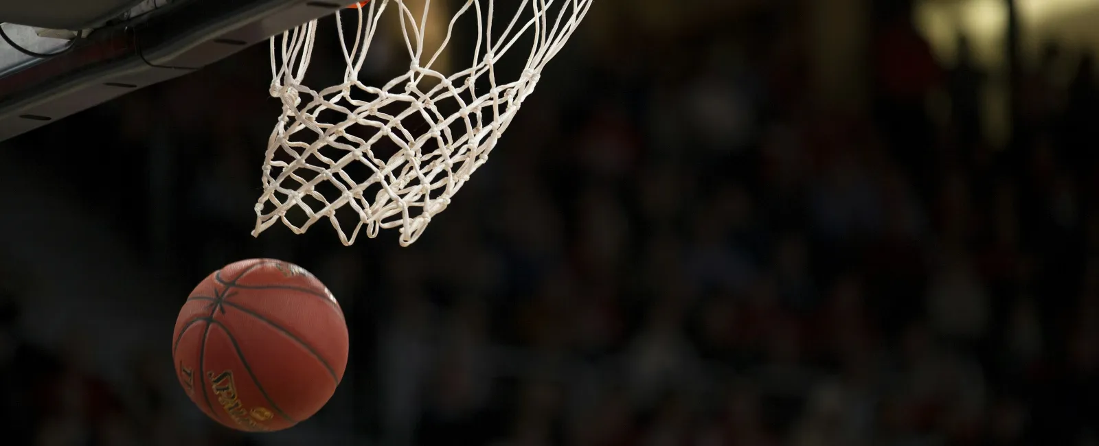 Why Mid-Sized Companies Are a Slam Dunk