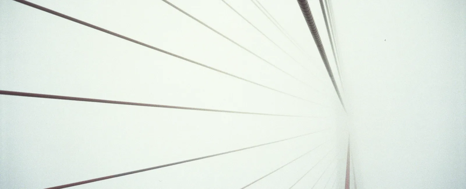 Close-up view of cable-stayed bridge cables disappearing into fog against a pale sky.