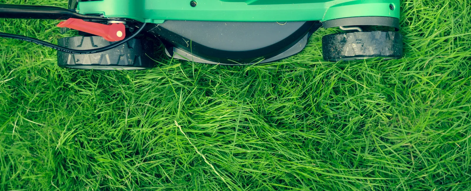Green electric lawn mower cutting fresh green grass in a garden on a sunny day.