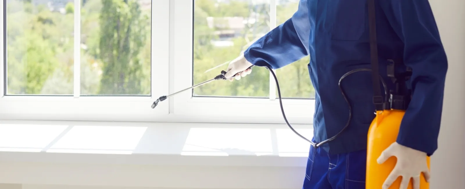 Professional pest control worker spraying insecticide near a window wearing protective gear indoors