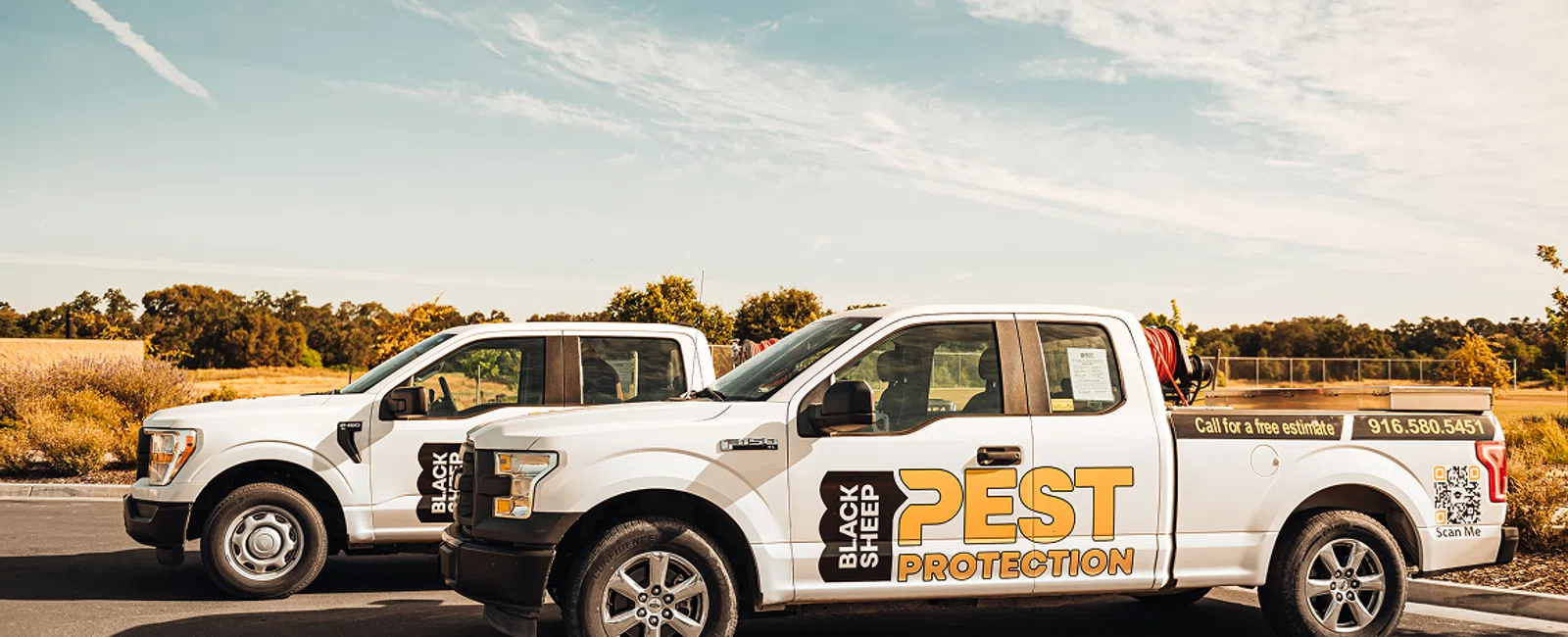 Two white Black Sheep Pest Protection pickup trucks parked side by side under a partly cloudy sky.