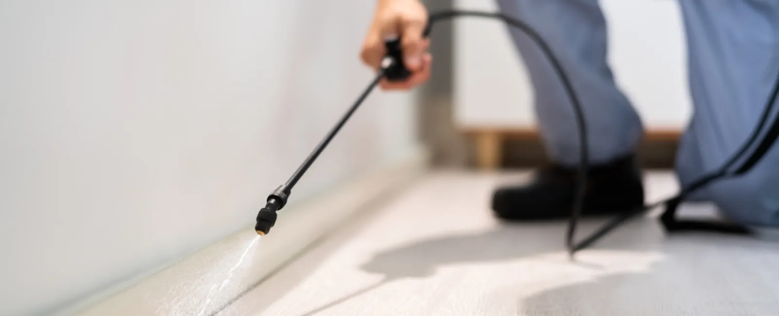 How to Prepare for Your Pest Control Service: A Step-by-Step Guide ...