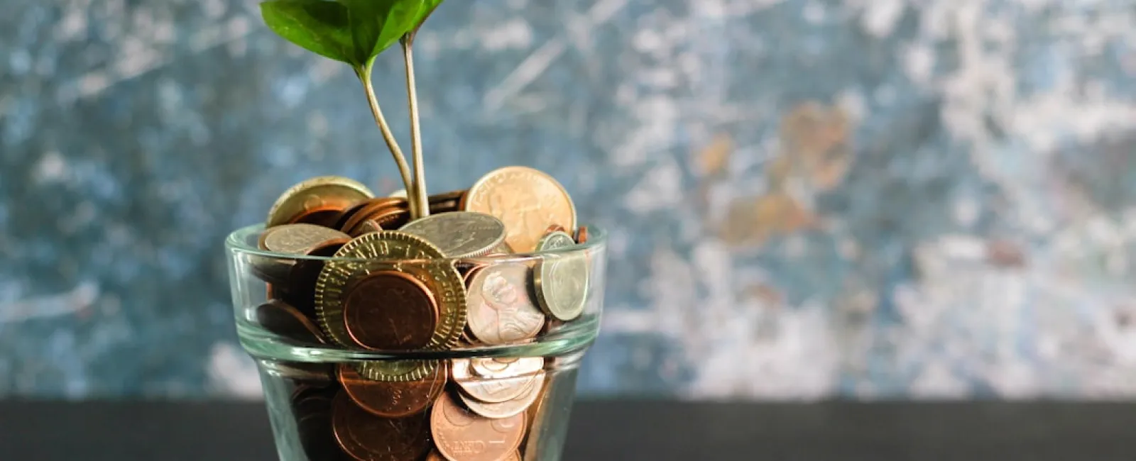 Green plant growing from glass filled with various coins symbolizing financial growth and investment.