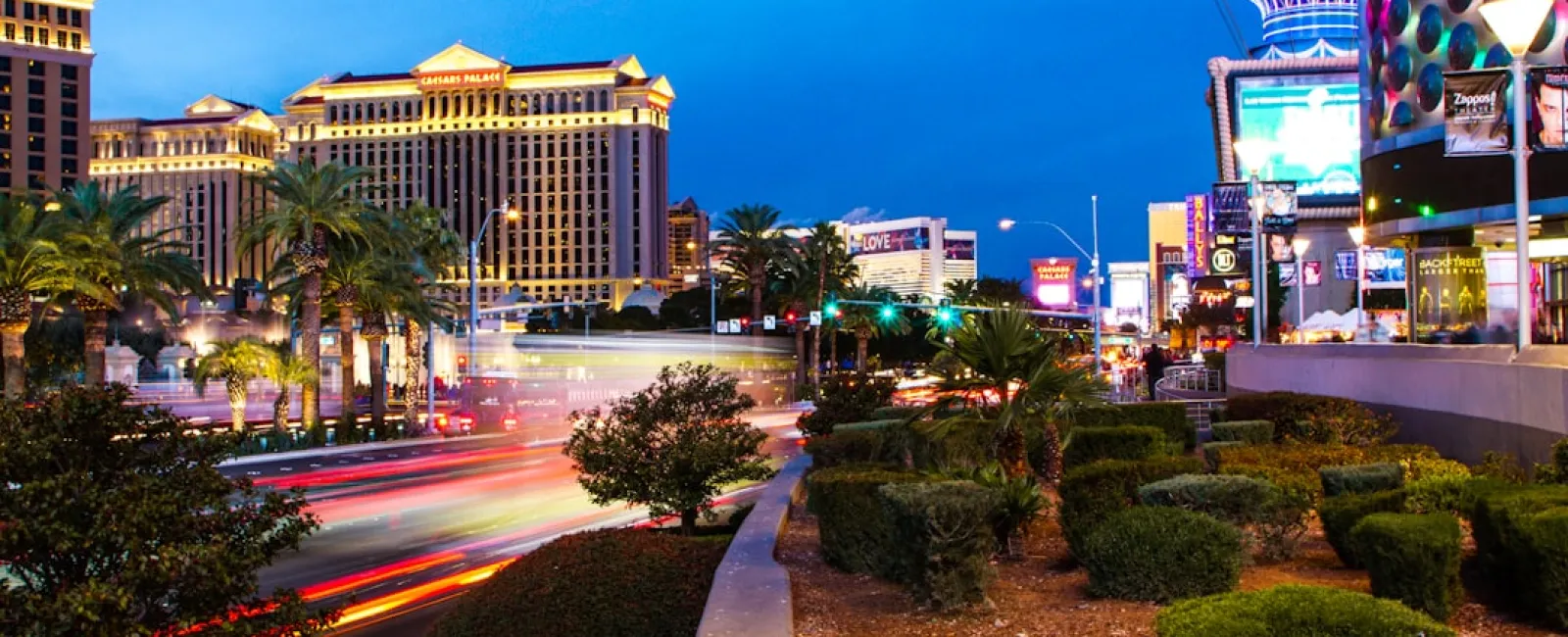 Evening view of Las Vegas Strip with illuminated casinos, gardens, and light trails from moving vehicles.