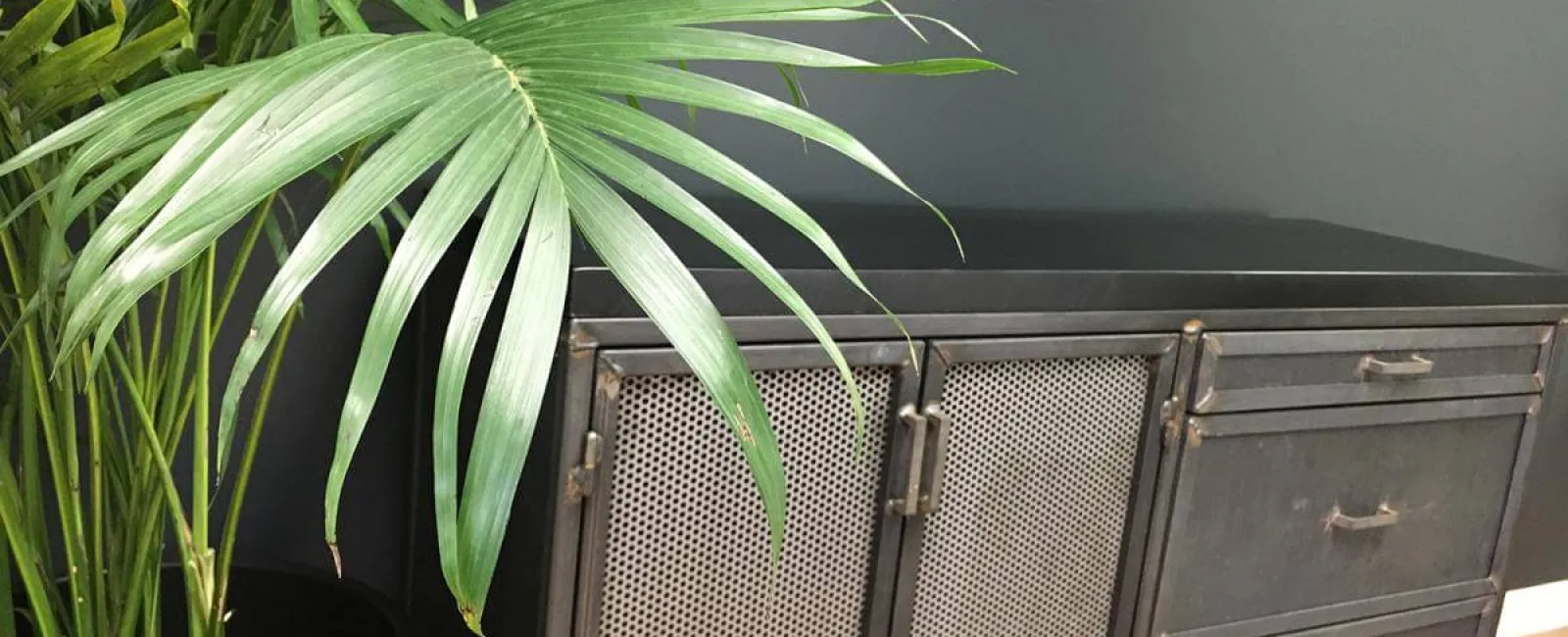 Greenery In The Workplace