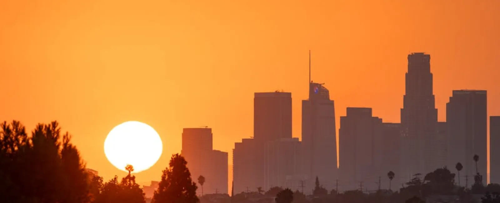 Sunset over Los Angeles skyline with prominent skyscrapers and silhouetted trees in foreground.