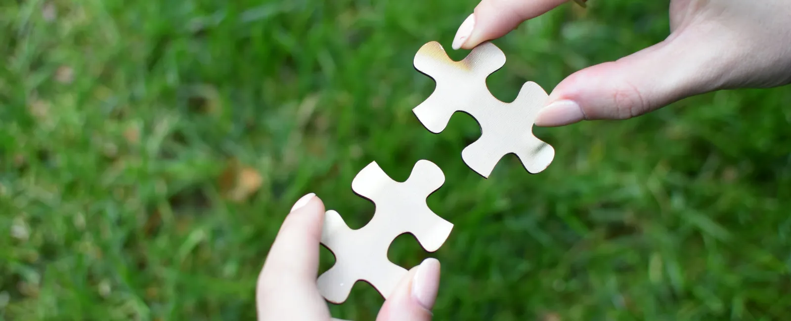 Two hands connecting white puzzle pieces outdoors over green grass background.
