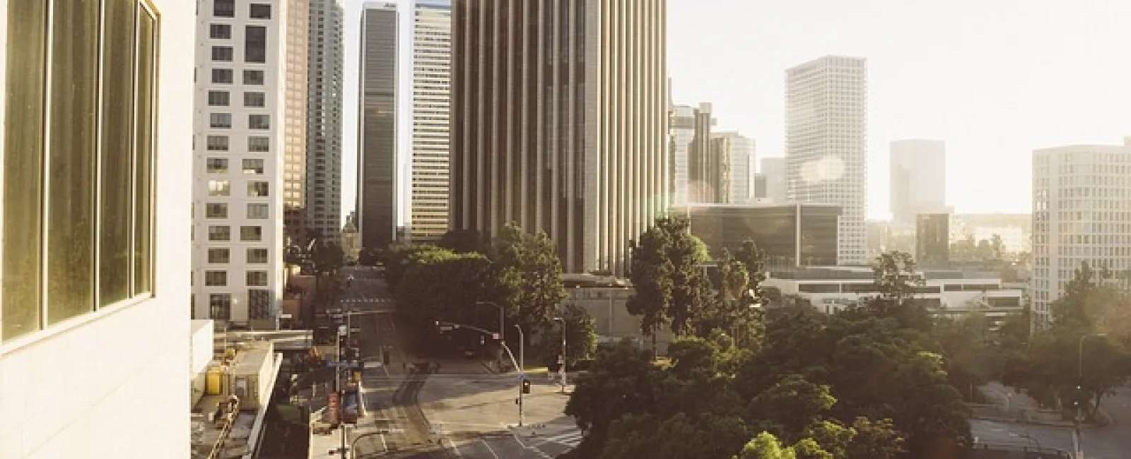 Downtown cityscape with tall buildings, empty streets, and lush green trees in soft morning sunlight.
