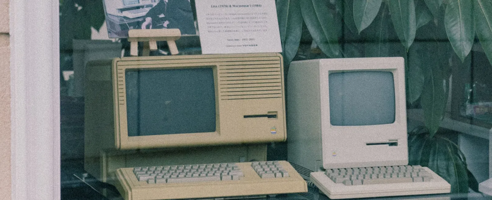 Two vintage personal computers displayed on a table, one beige and one cream, with a photo and plant background.