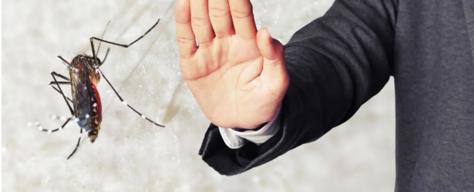 Person in suit holding hand up to stop a mosquito flying nearby against light background
