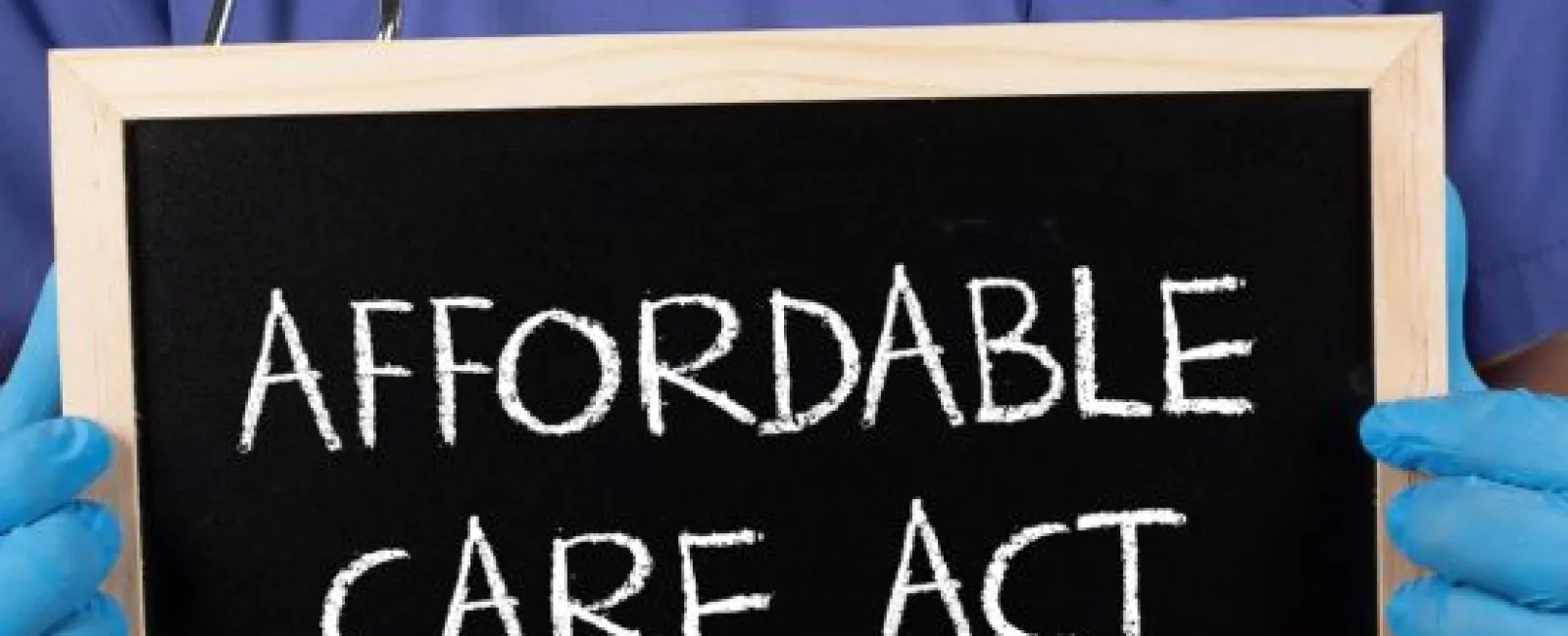 Spotlight Series: The Employer Mandate 2015