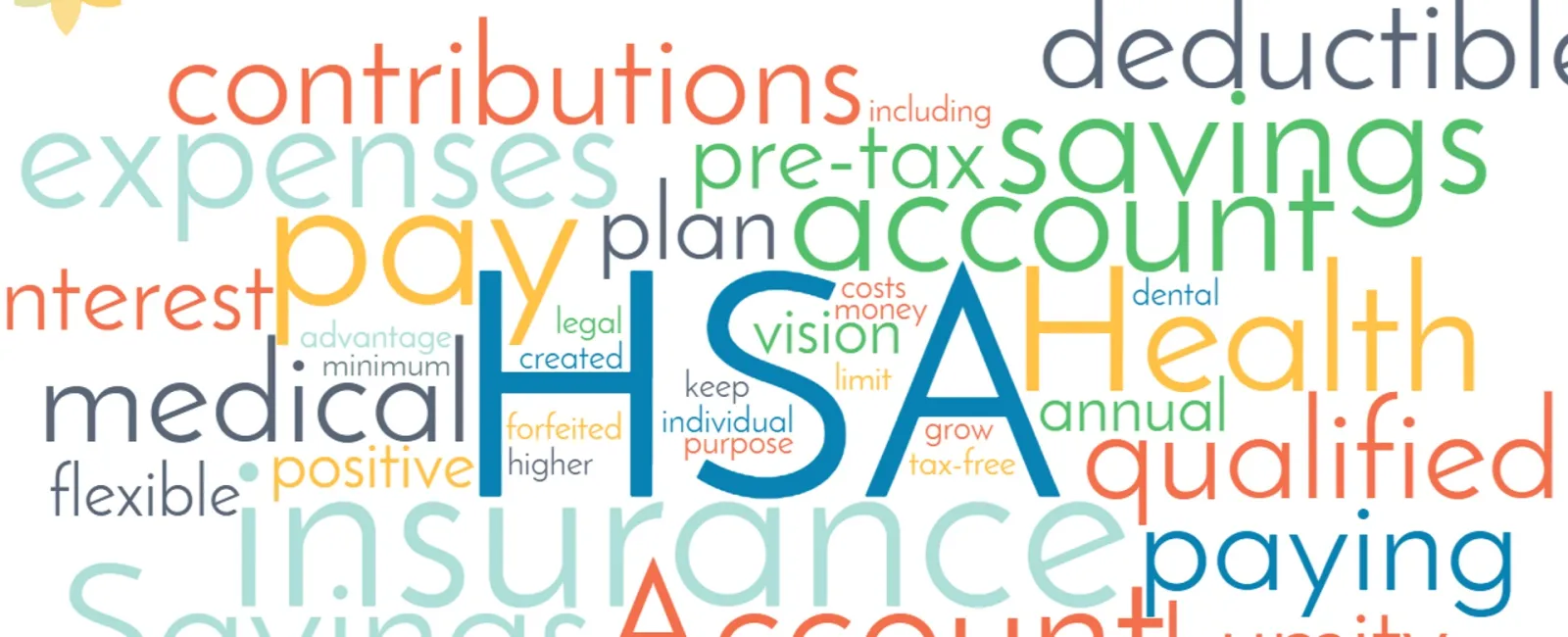 Spotlight Series: A Health Savings Account Rundown