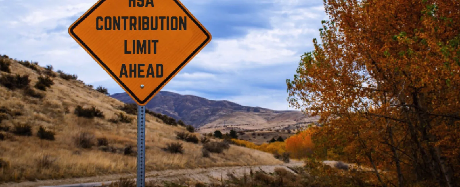 Reach for the HSA Limit