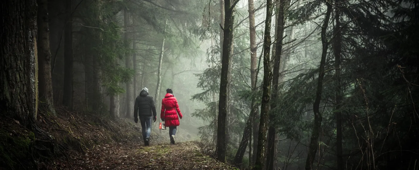 Workplace Wellness: Gathering Employee Information