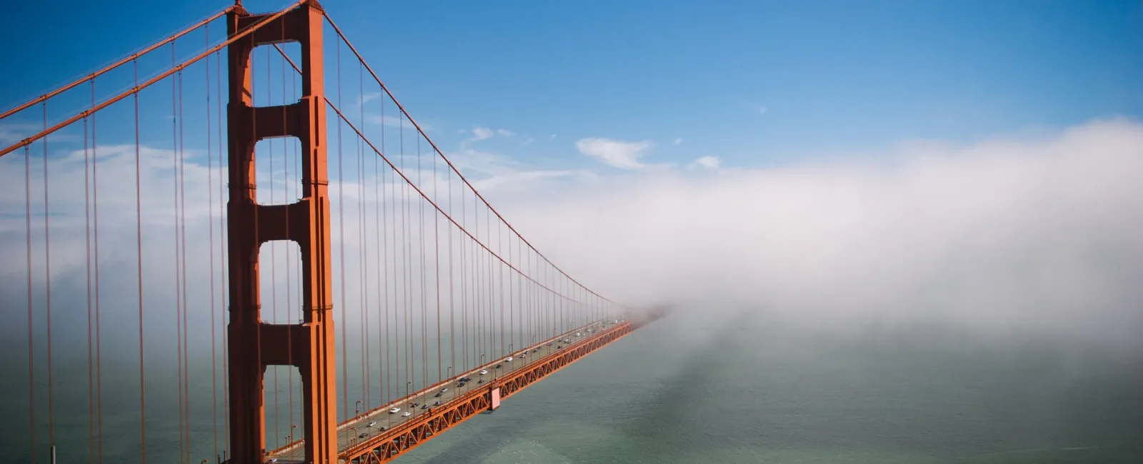 SF HCSO Annual Employer Reporting is Back