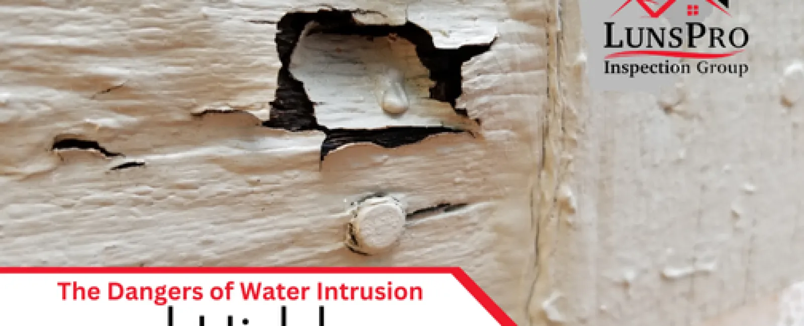 The Dangers of Water Intrusion and Hidden Wood Rot