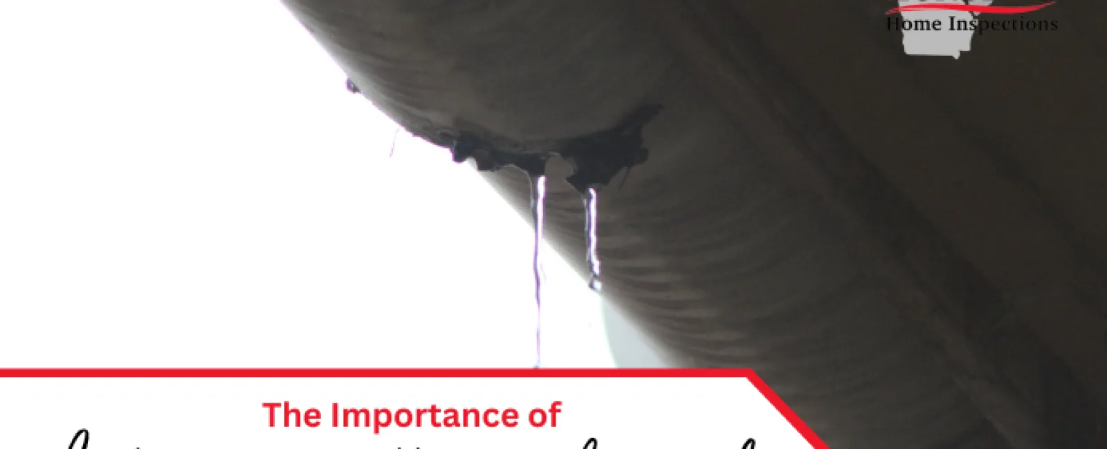 The Importance of Identifying Gutter Leaks Early