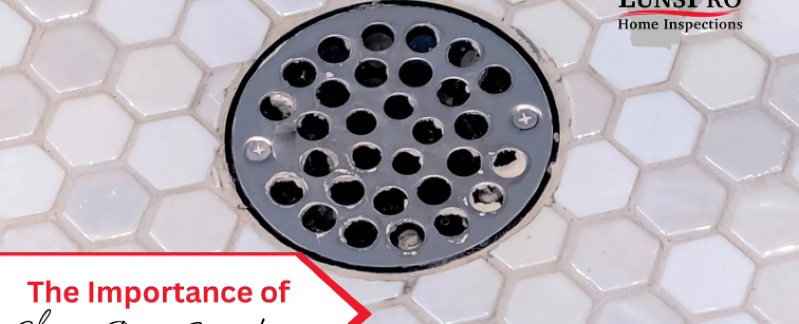 The Importance of Shower Drain Inspections