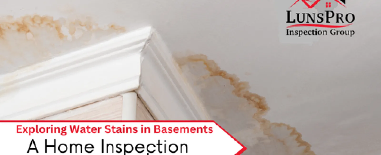 Exploring Water Stains in Basements: A Home Inspection Case Study