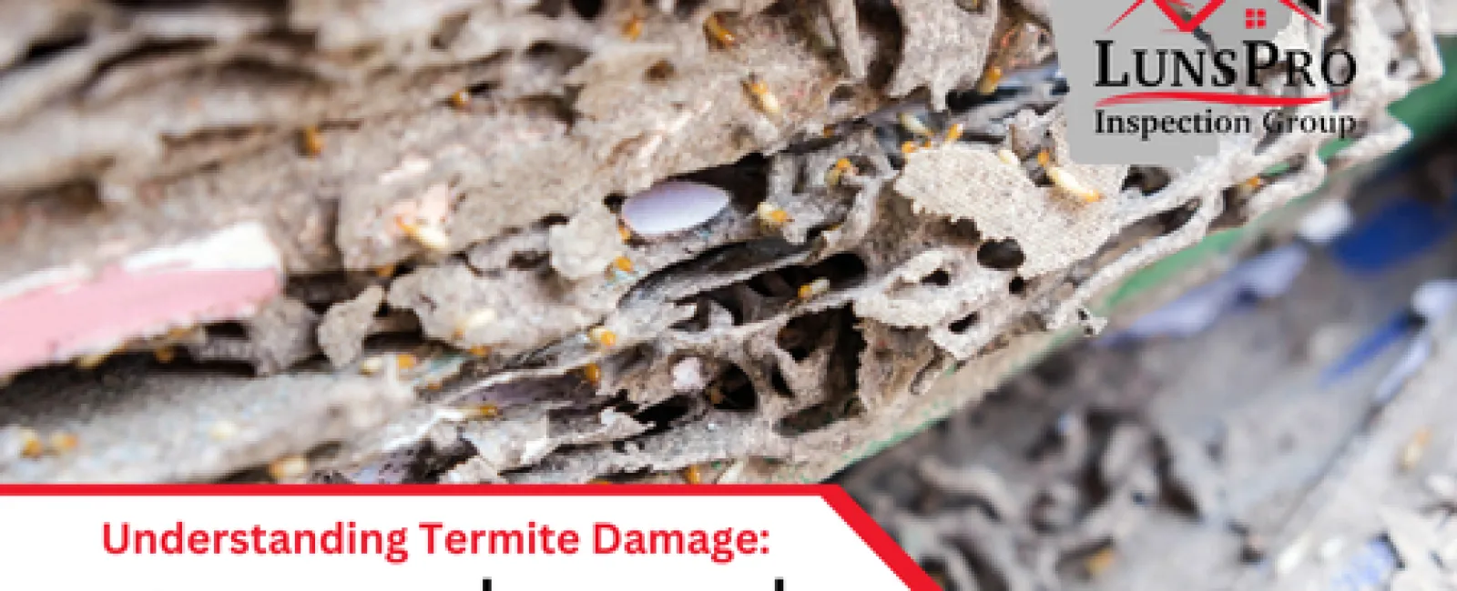 Understanding Termite Damage: A Critical Insight