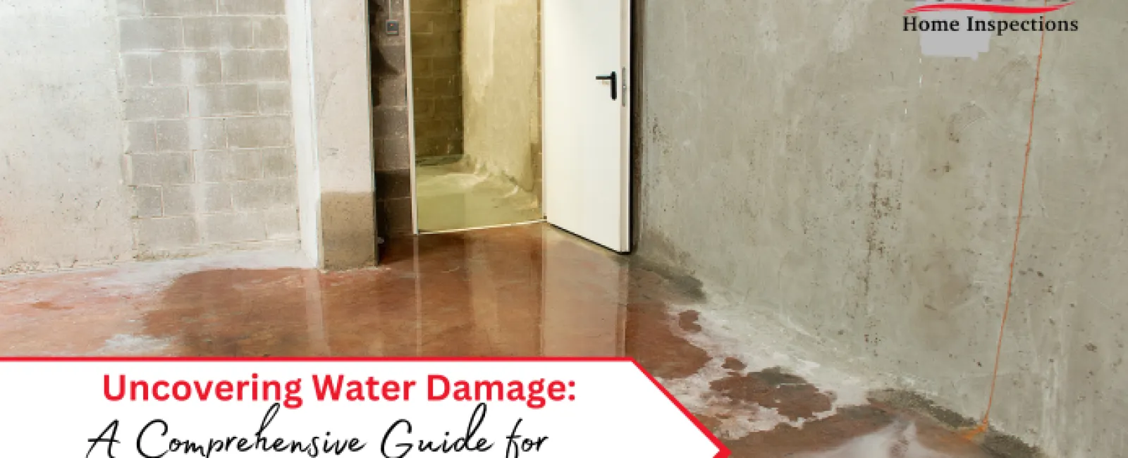 Uncovering Water Damage: A Comprehensive Guide for Homeowners in North Carolina