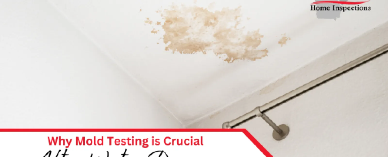 Why Mold Testing is Crucial After Water Damage in Your Home