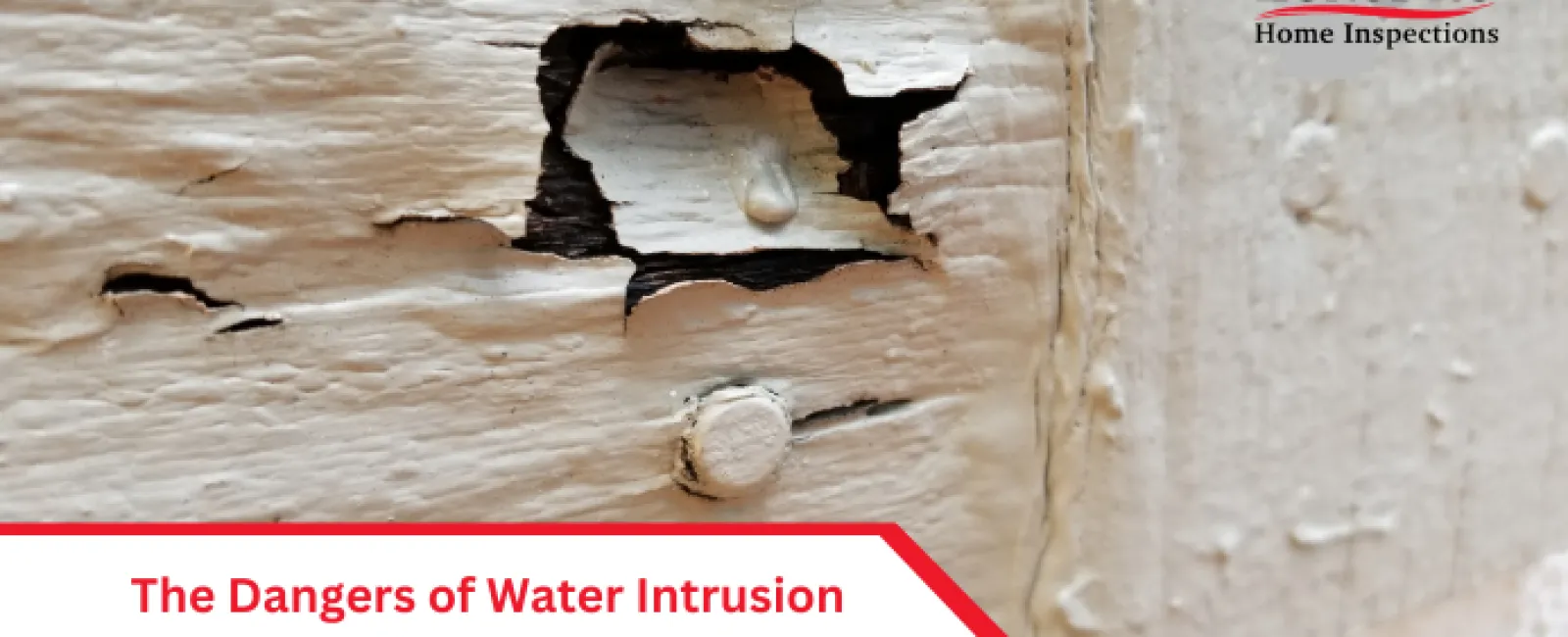 The Dangers of Water Intrusion and Hidden Wood Rot