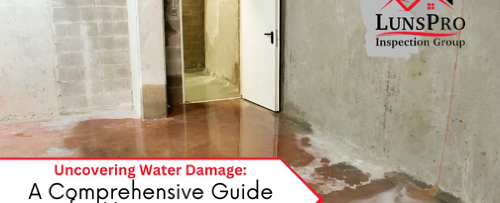 Uncovering Water Damage: A Comprehensive Guide for Homeowners in North Carolina