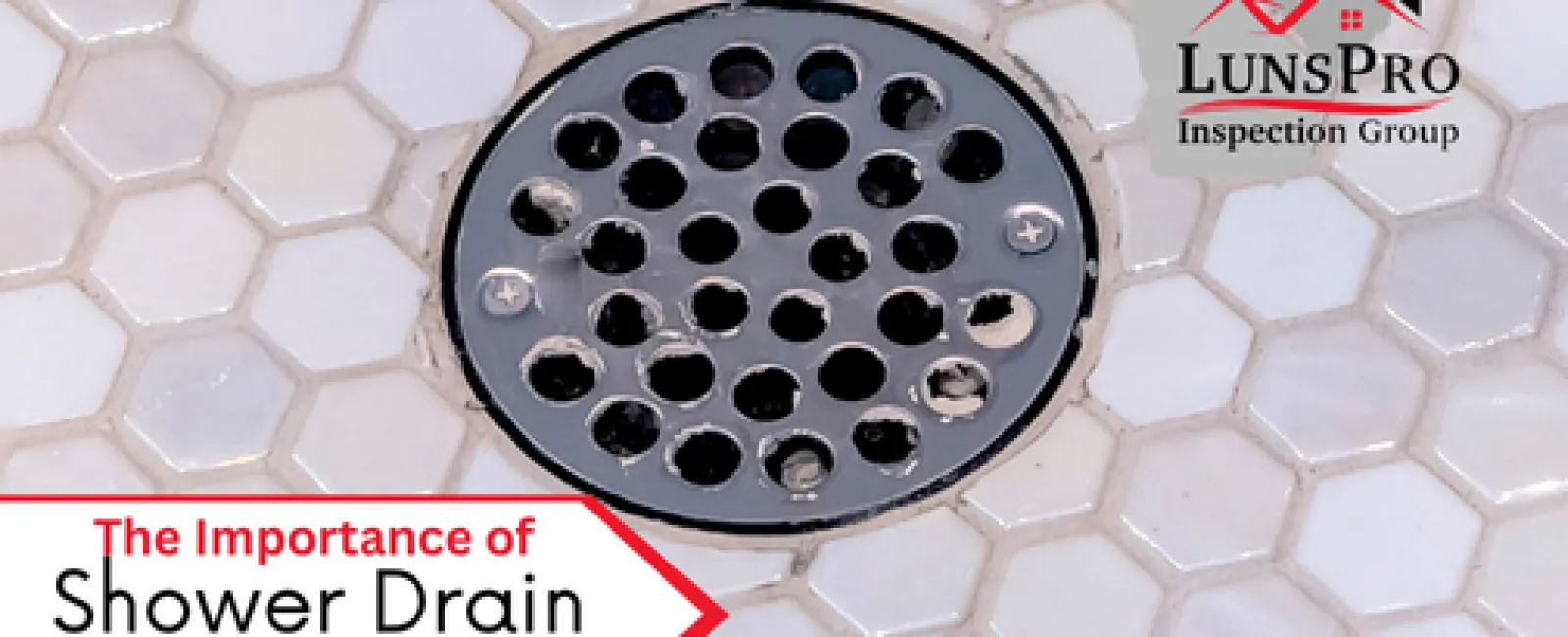 The Importance of Shower Drain Inspections