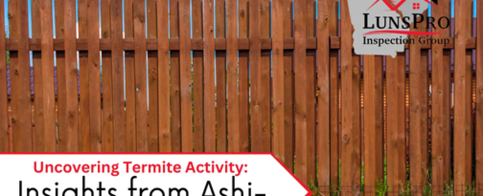 Uncovering Termite Activity
