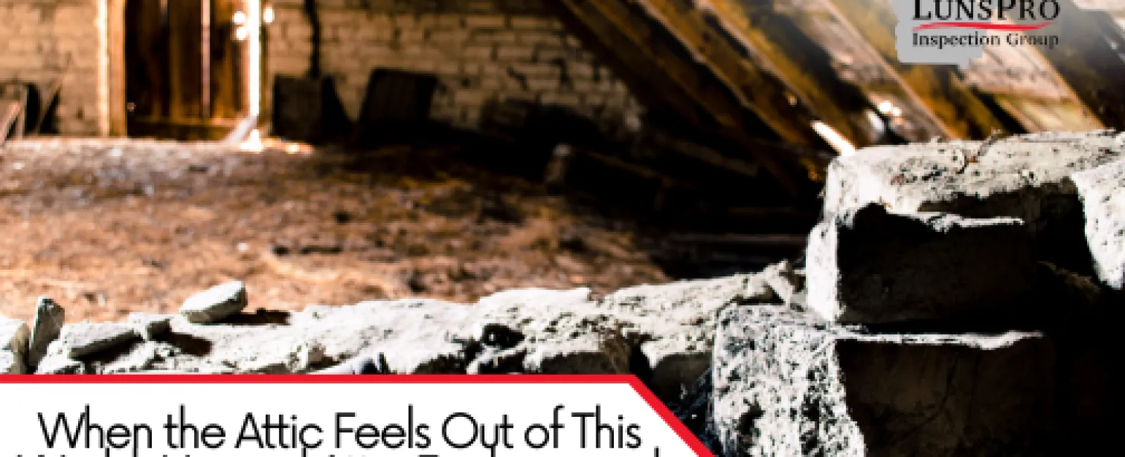 When the Attic Feels Out of This World: Unusual Attic Findings and What They Mean for Your Home