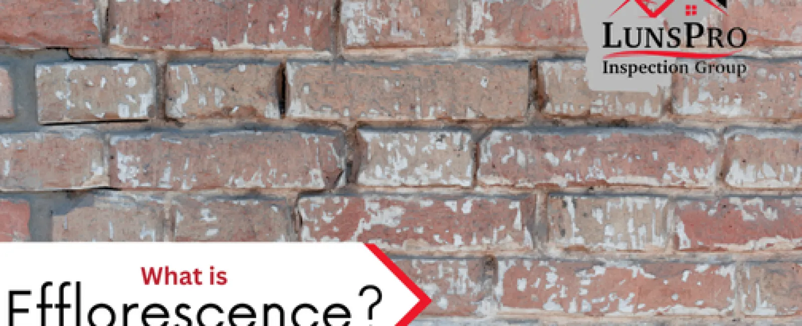 What is Efflorescence?