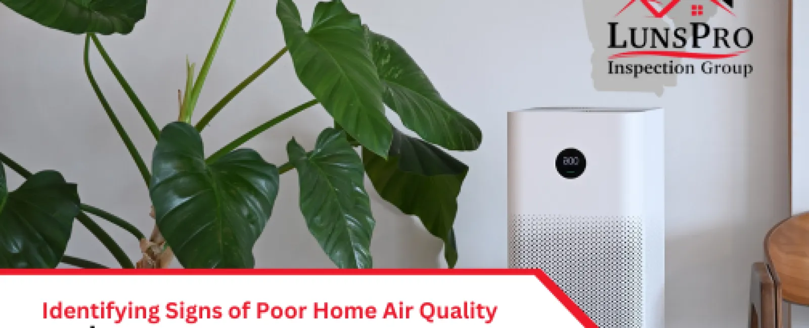 Identifying Signs of Poor Home Air Quality and How to Improve It
