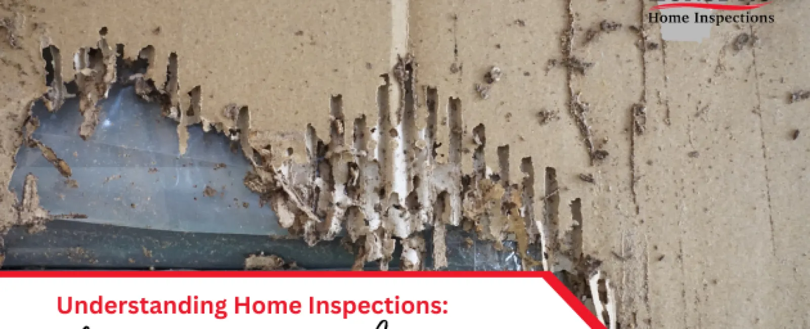 Understanding Home Inspections: Evaluating Termite and Pest Issues