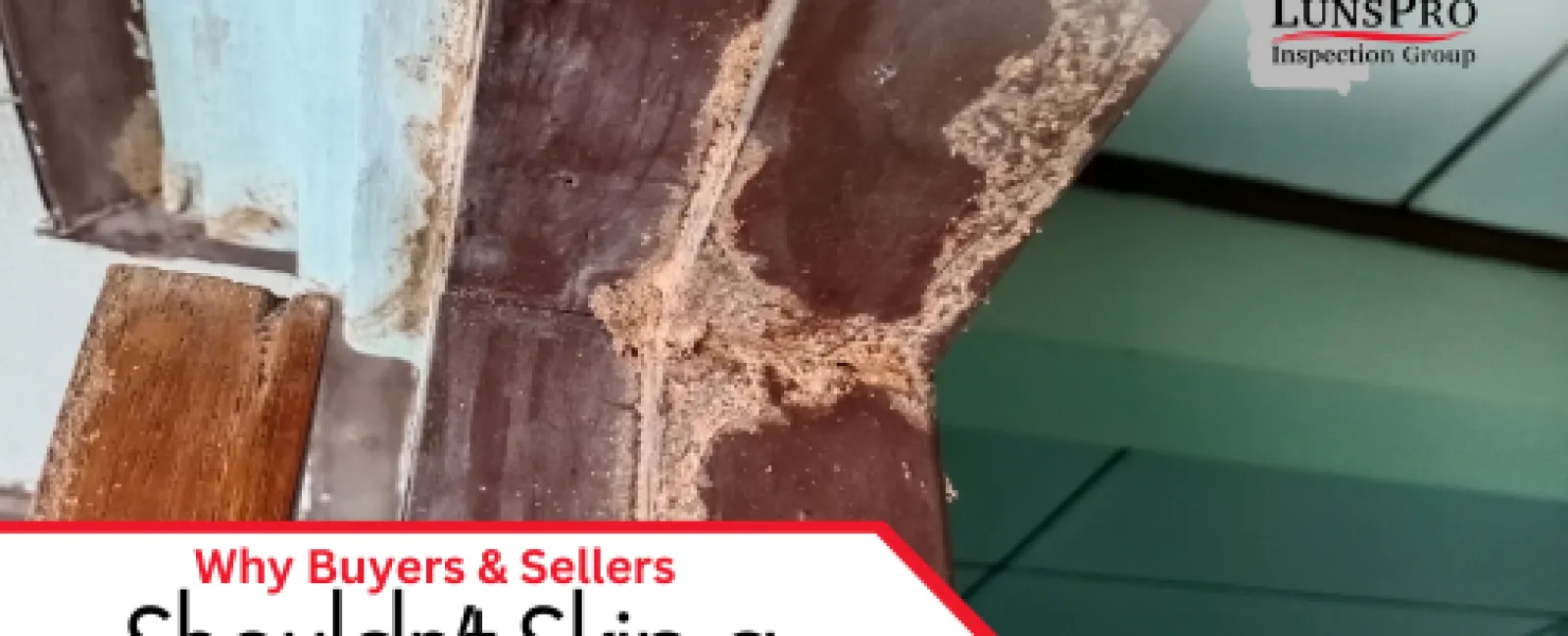 Why Buyers & Sellers Shouldn’t Skip a Termite Inspection