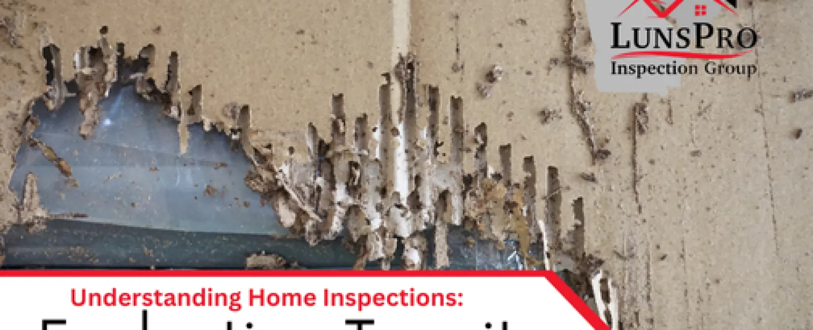 Understanding Home Inspections: Evaluating Termite and Pest Issues