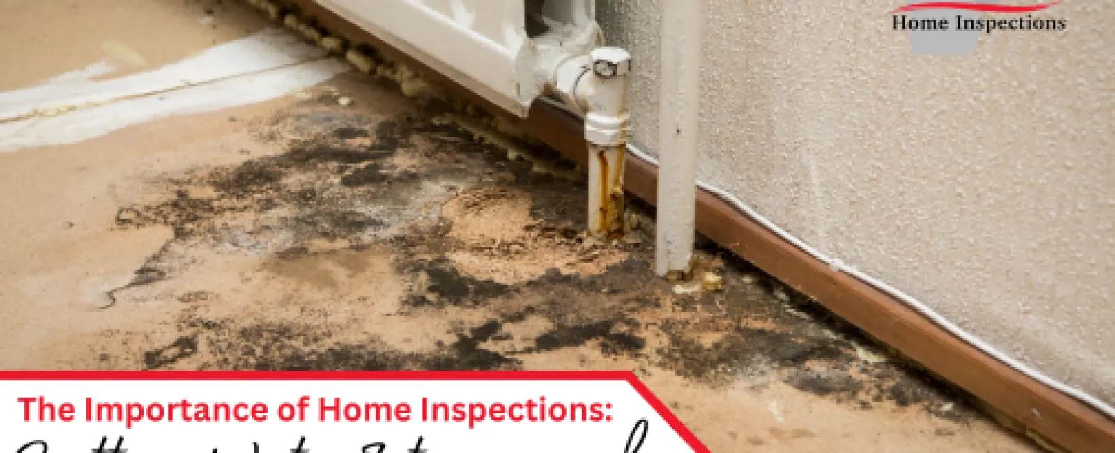 The Importance of Home Inspections: Spotting Water Intrusion and Potential Mold Growth