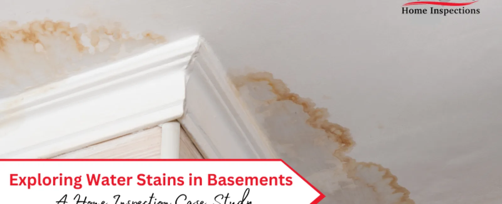 Exploring Water Stains in Basements: A Home Inspection Case Study